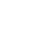 Google +
